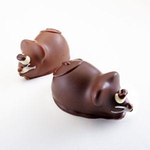 chocolate shaped as mice